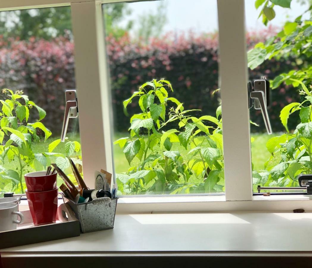 Bed And Breakfast Lutje Lollumフラネケル エクステリア 写真